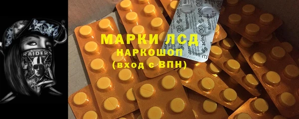 PSILOCYBIN Ессентукская