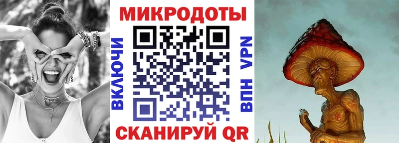 Галлюциногенные грибы Psilocybine cubensis  Купить  Катав-Ивановск 